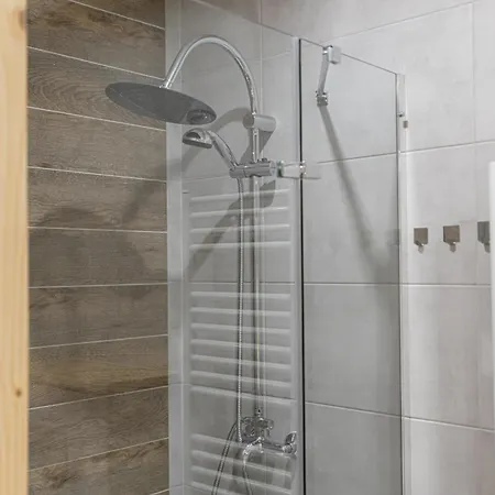 דירה Zakopianska Polana זקופאנה